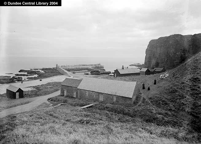 Auchmithie harbour