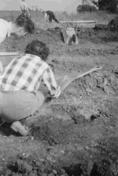 St Albans dig 2