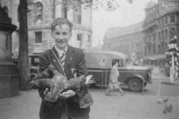 Me + pigeons