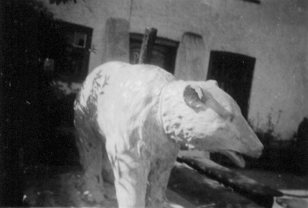 White Bear