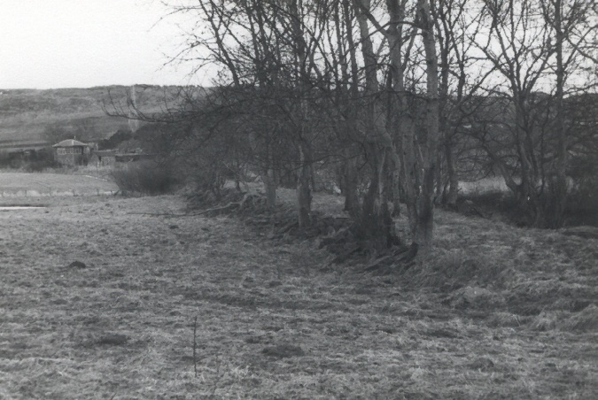 line from E. bridge
