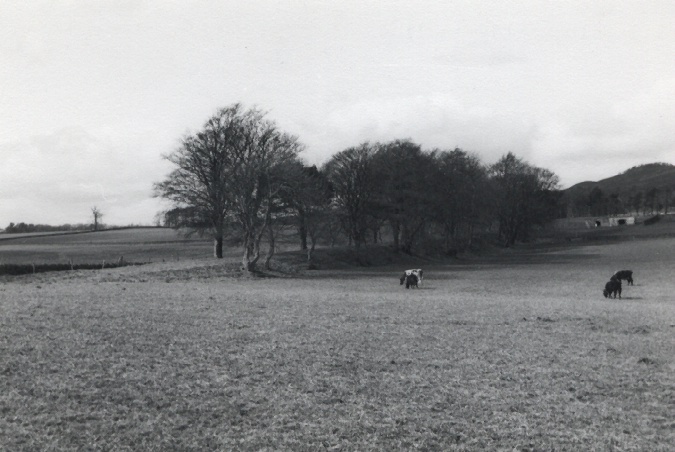embankment through field